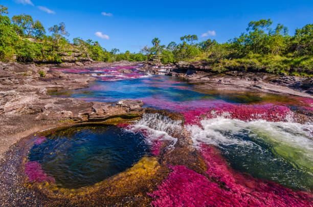 CAÑO CRISTALES(CAQUETA)